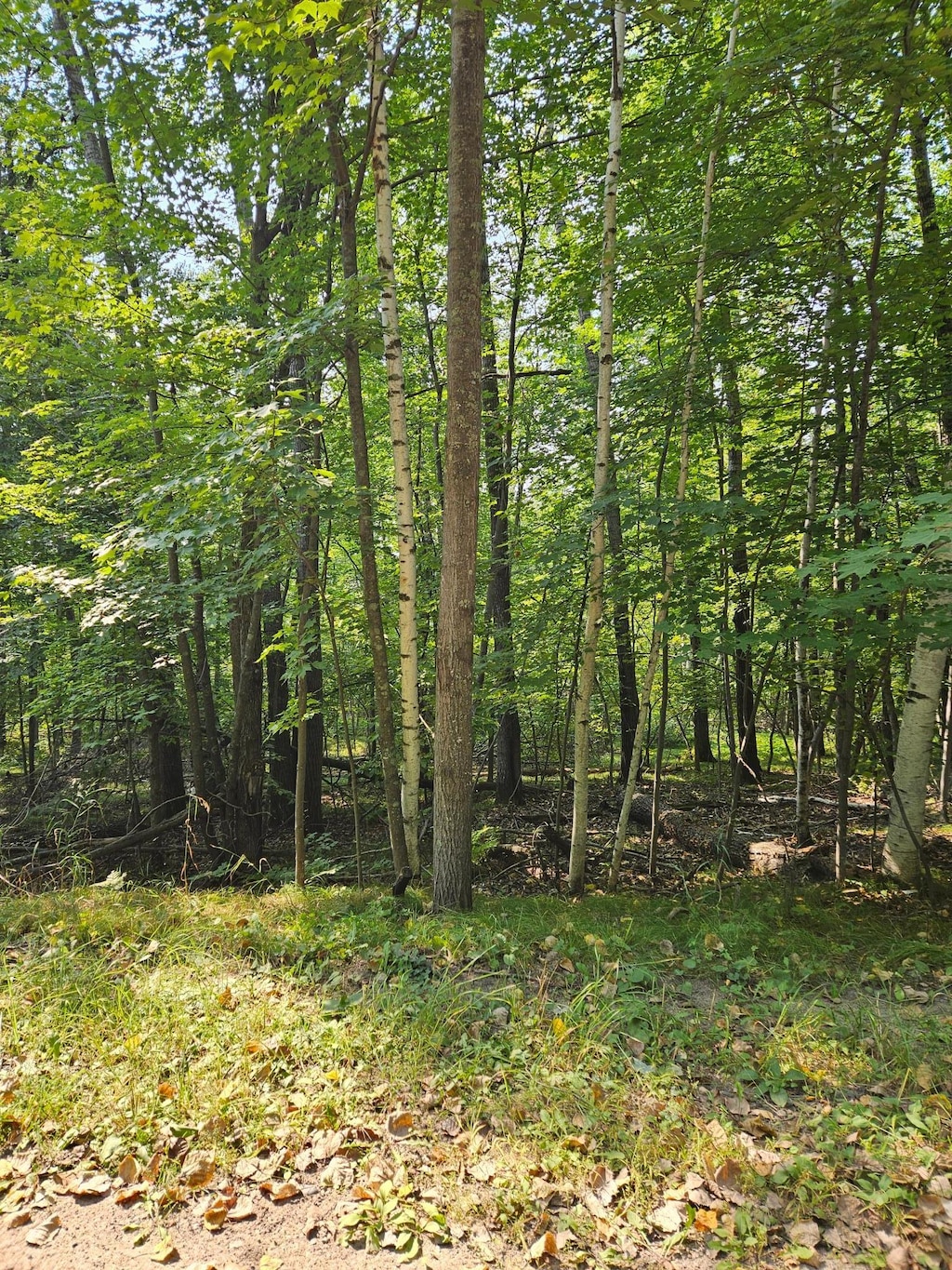 LOTS41-43 Catskill Dr, Breezy Point, MN 56472