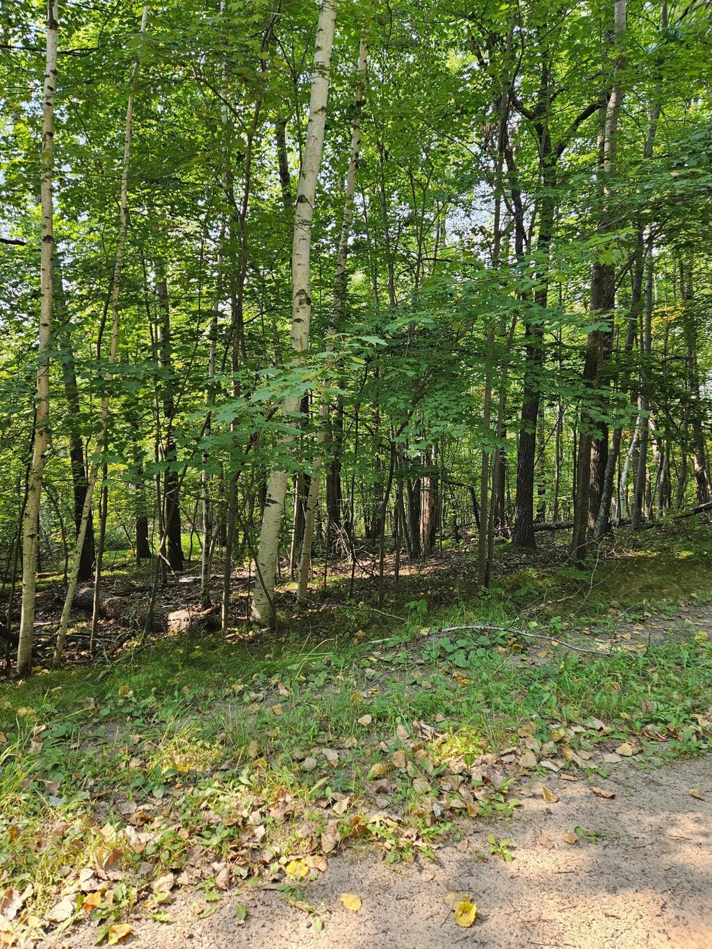 LOTS41-43 Catskill Dr, Breezy Point, MN 56472