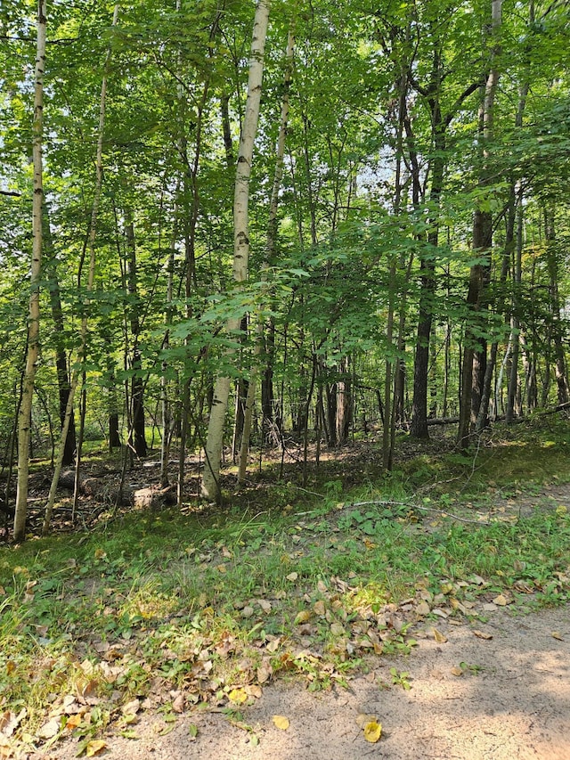 LOTS41-43 Catskill Dr, Breezy Point, MN 56472