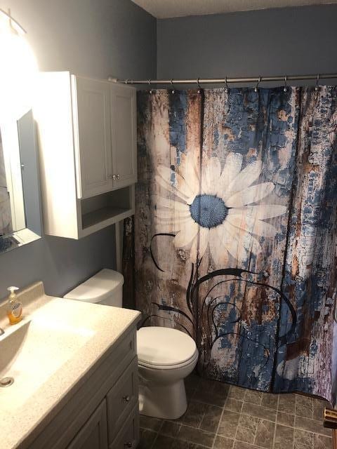 bathroom featuring vanity, toilet, and curtained shower