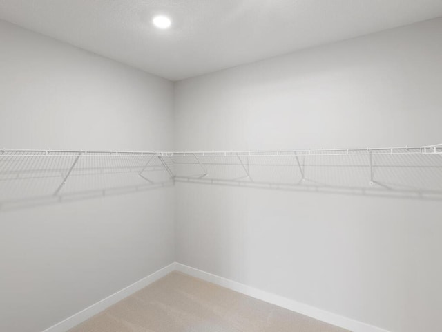 spacious closet featuring carpet flooring