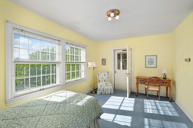 bedroom featuring dark carpet and multiple windows