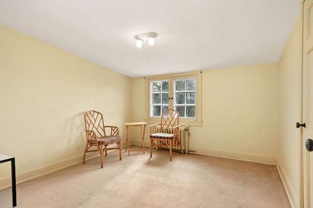 sitting room with light carpet