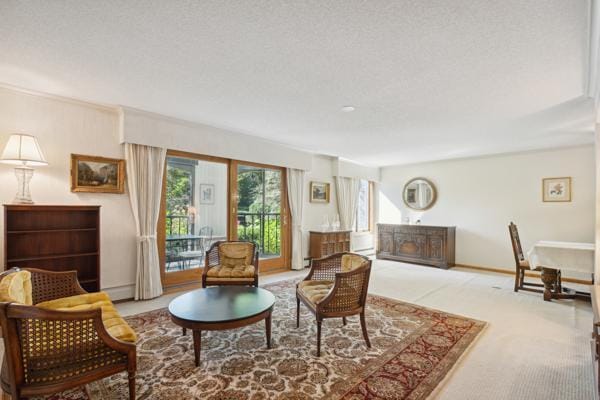 carpeted living room featuring a textured ceiling and baseboard heating