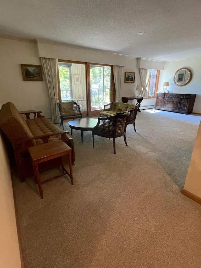 5601 Dewey Hill Rd Unit 113, Edina, MN 55439 - living area with carpet floors, a textured ceiling, and plenty of natural light