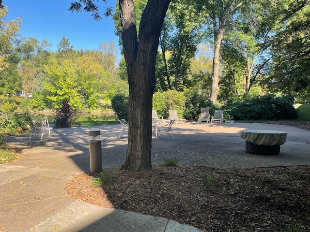 5601 Dewey Hill Rd Unit 113, Edina, MN 55439 - view of community featuring a patio