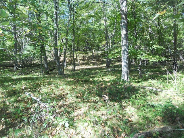 Listing photo 3 for xxx County 118 Road Nw, Backus MN 56435