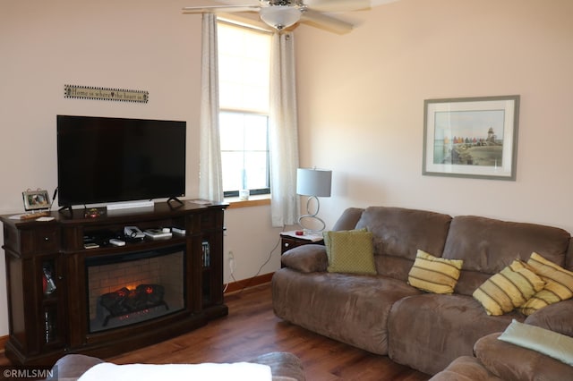 living room with ceiling fan and dark hardwood / wood-style flooring