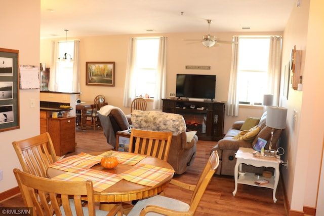 dining area with wood-type flooring and ceiling fan