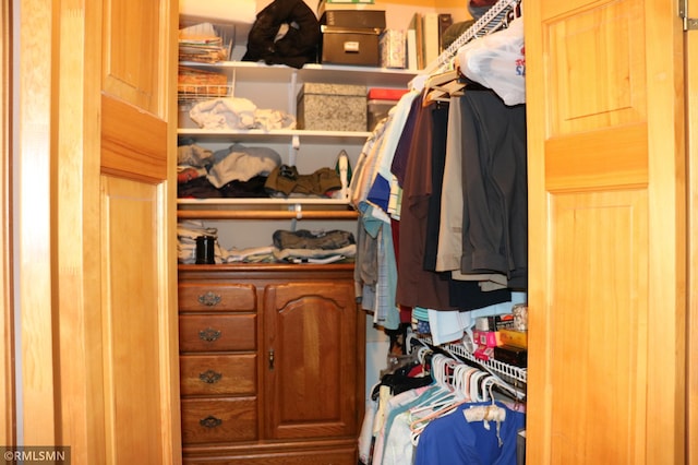 view of spacious closet