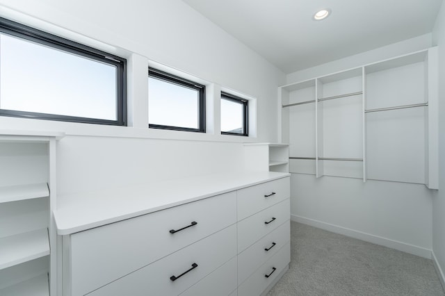 spacious closet with light colored carpet