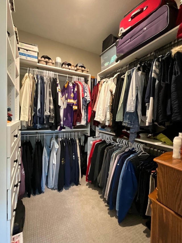 spacious closet featuring light colored carpet