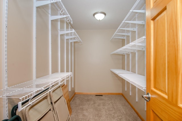 7983 County Road 127, Brainerd, MN 56401 - spacious closet with light colored carpet