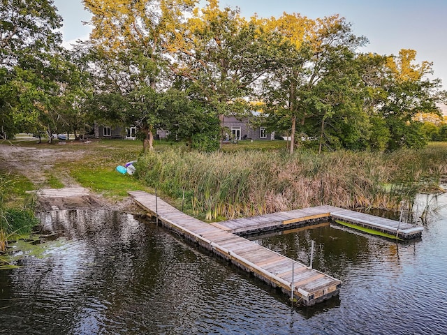 dock area with a water view