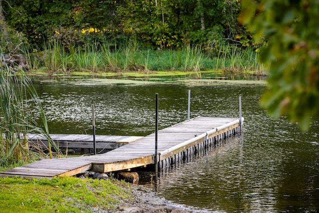 dock area featuring a water view