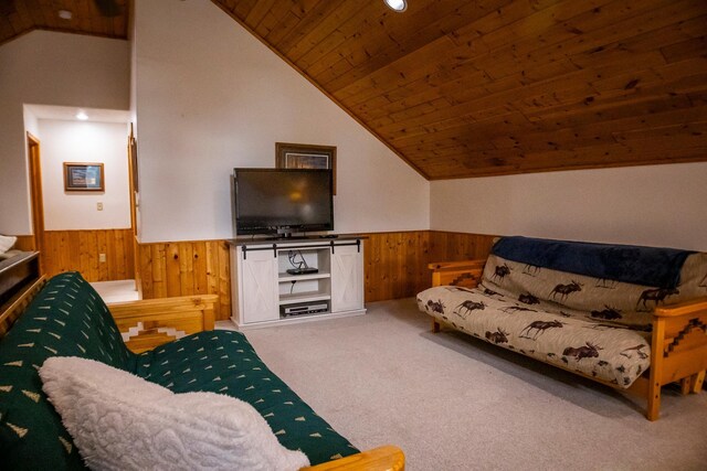 51997 State Highway 46, Squaw Lake, MN 56681 - photo 117