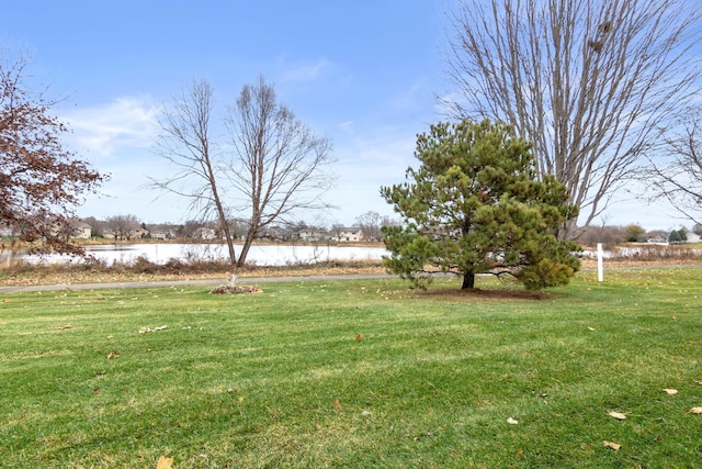 view of yard with a water view