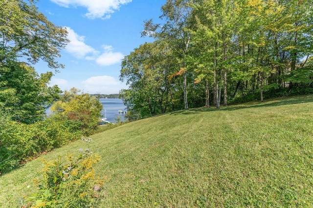 970 Pleasant View Rd, Chanhassen, MN 55317