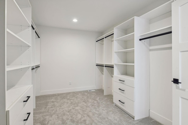 spacious closet with light carpet