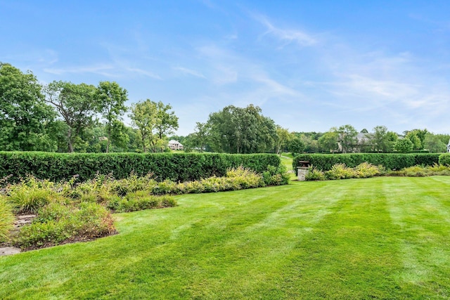 view of yard