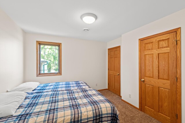 bedroom featuring carpet flooring