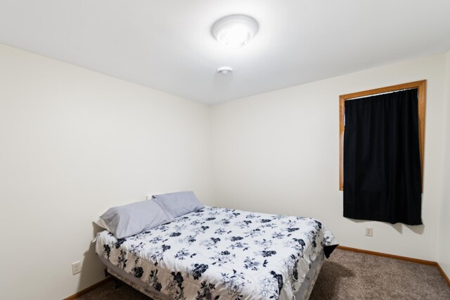 bedroom with carpet