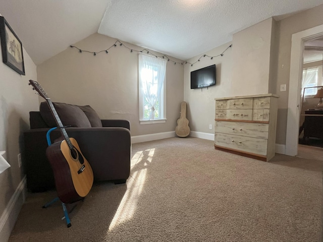 living area featuring lofted ceiling, a textured ceiling, and carpet