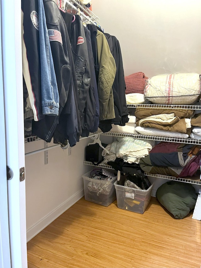 spacious closet with hardwood / wood-style floors