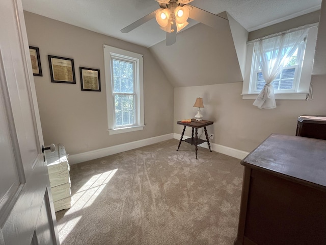 3810 105th Ave SW, Willmar, MN 56201 - photo 58