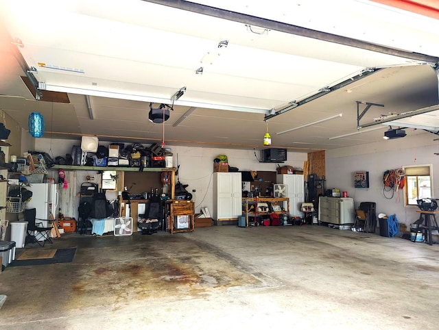 506 Ash Ave N, New Richland, MN 56072 - garage featuring a garage door opener and a workshop area