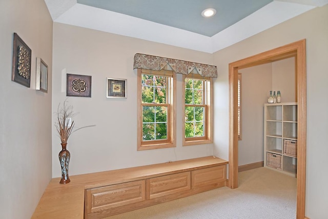 interior space with recessed lighting and light colored carpet