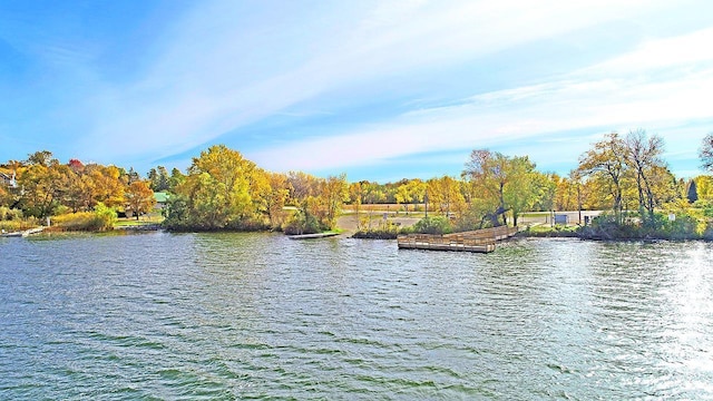 property view of water with a view of trees and a dock