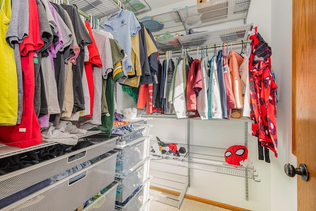 view of spacious closet