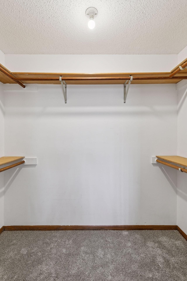 walk in closet featuring carpet floors