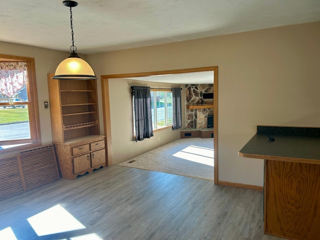 dining area featuring hardwood / wood-style flooring