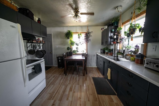 kitchen featuring ceiling fan, sink, white appliances, a textured ceiling, and light hardwood / wood-style floors