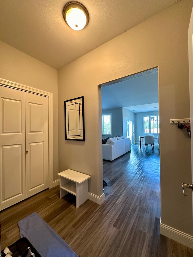 hallway with a textured ceiling and dark hardwood / wood-style floors