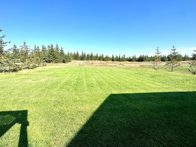 view of yard with a rural view