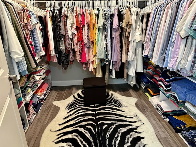 spacious closet featuring dark hardwood / wood-style floors