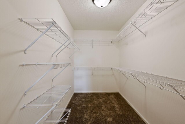 spacious closet featuring carpet floors