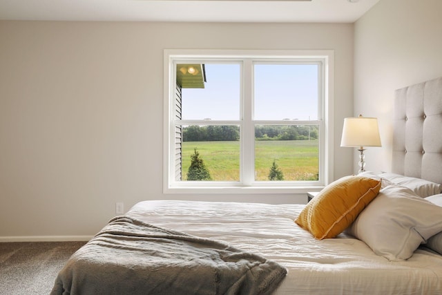 bedroom featuring carpet