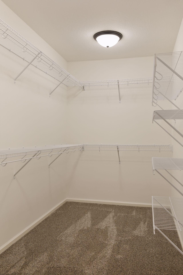 spacious closet with carpet floors