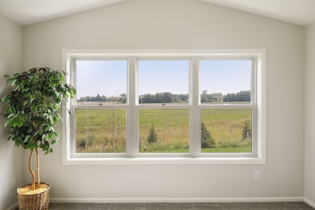20092 Fitzgerald Trl N, Forest Lake, MN 55025 - detailed view of carpet floors and baseboards