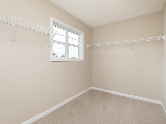 spacious closet featuring carpet floors