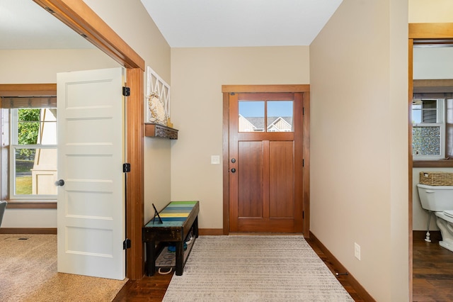 doorway to outside with dark hardwood / wood-style floors and a wealth of natural light