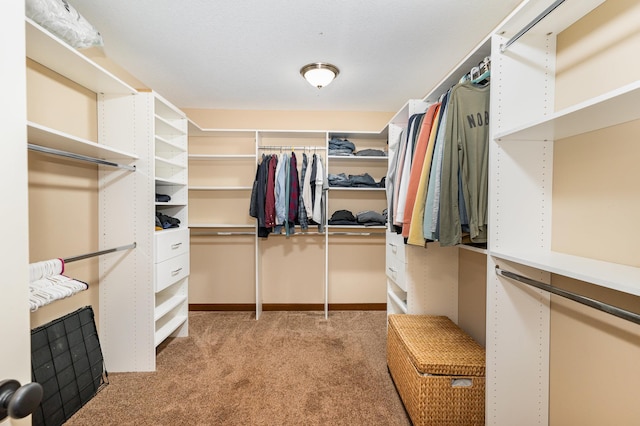 walk in closet with light carpet