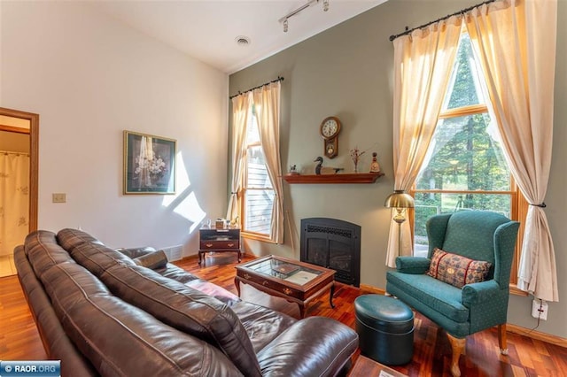 living room featuring plenty of natural light, track lighting, a wood stove, and hardwood / wood-style flooring