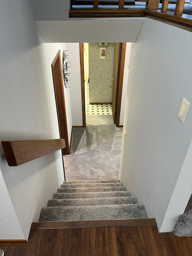 stairs with carpet floors