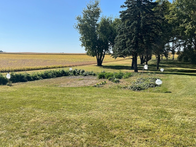 view of yard featuring a rural view