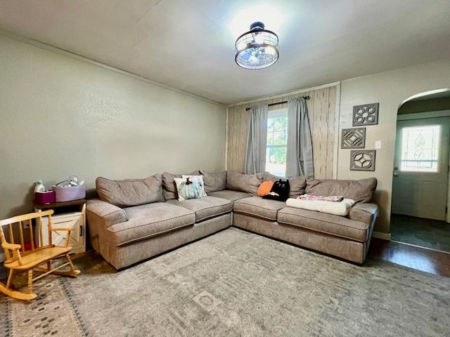 living room featuring a healthy amount of sunlight and hardwood / wood-style flooring